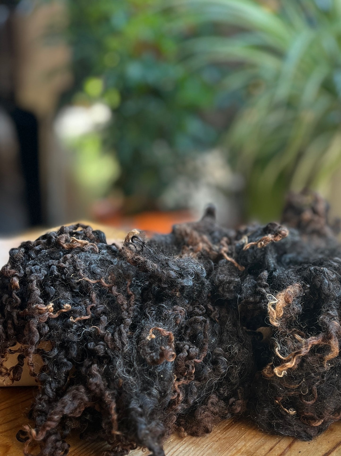 Wensleydale noir délavé x