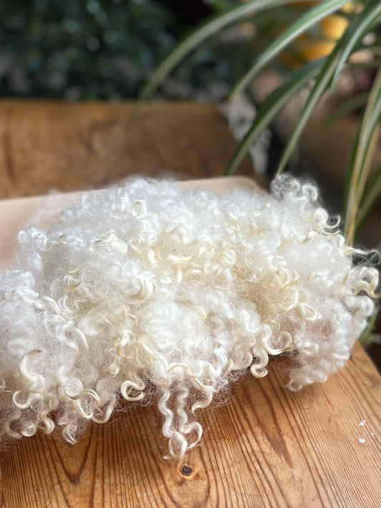 Border Leicester non lavé