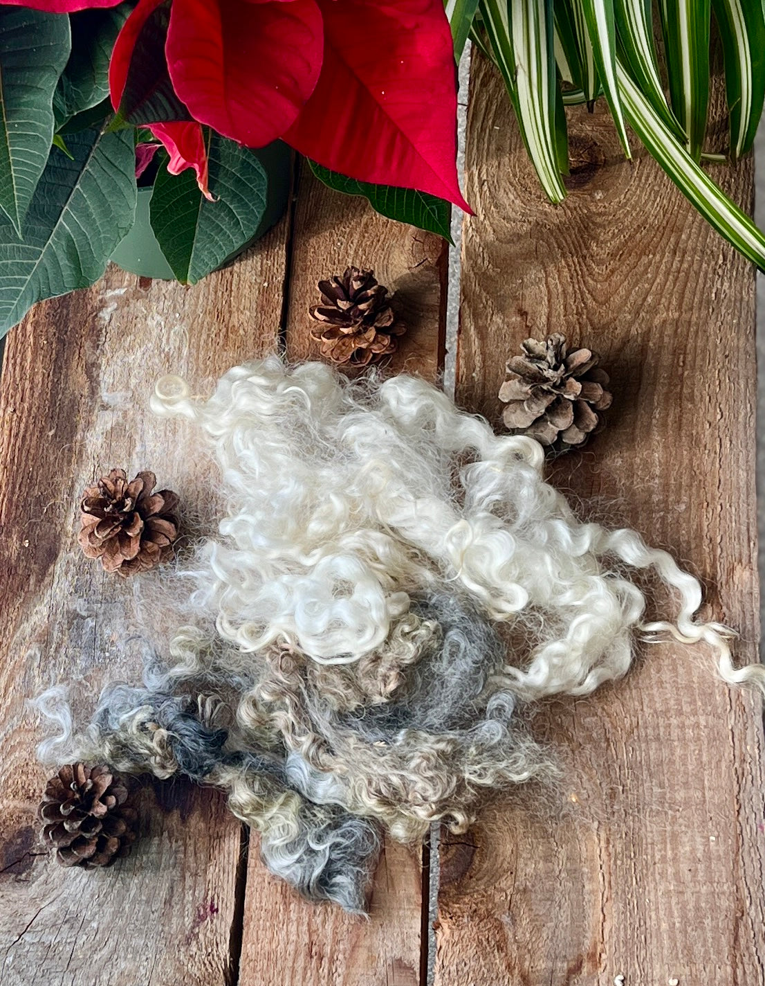 Lincoln Wool locks