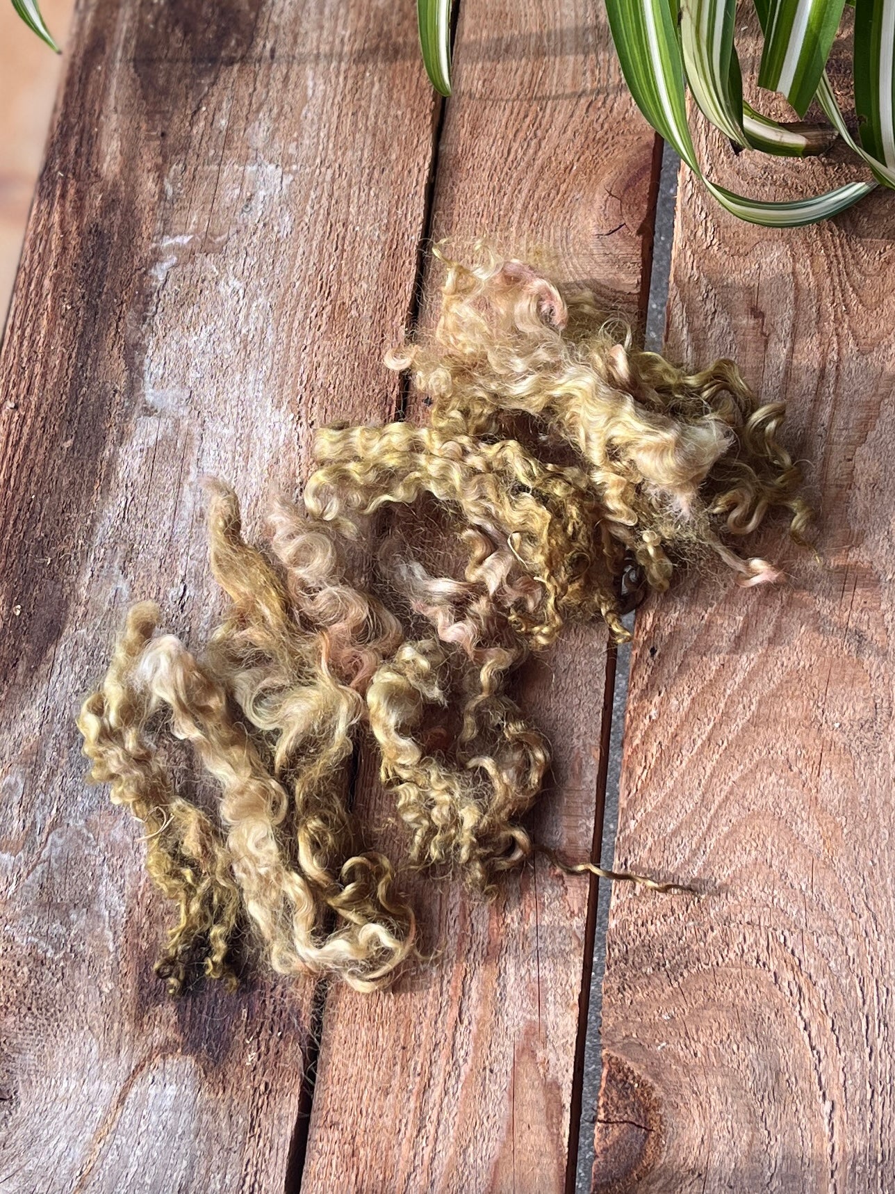 Mèches de Lincoln - Teints à la main