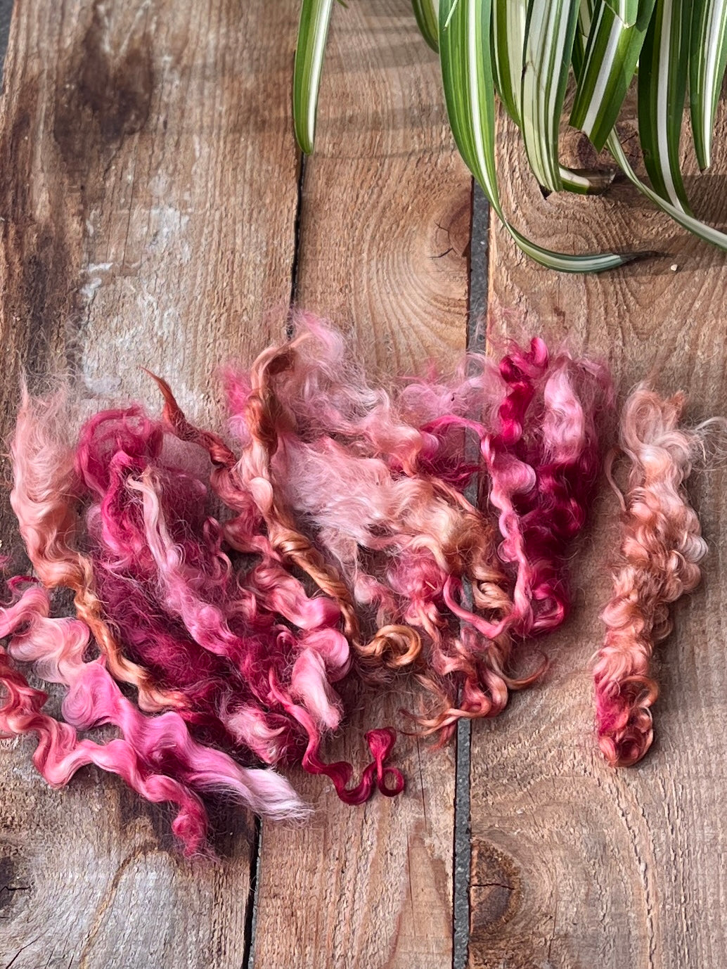 Mèches de Lincoln - Teints à la main