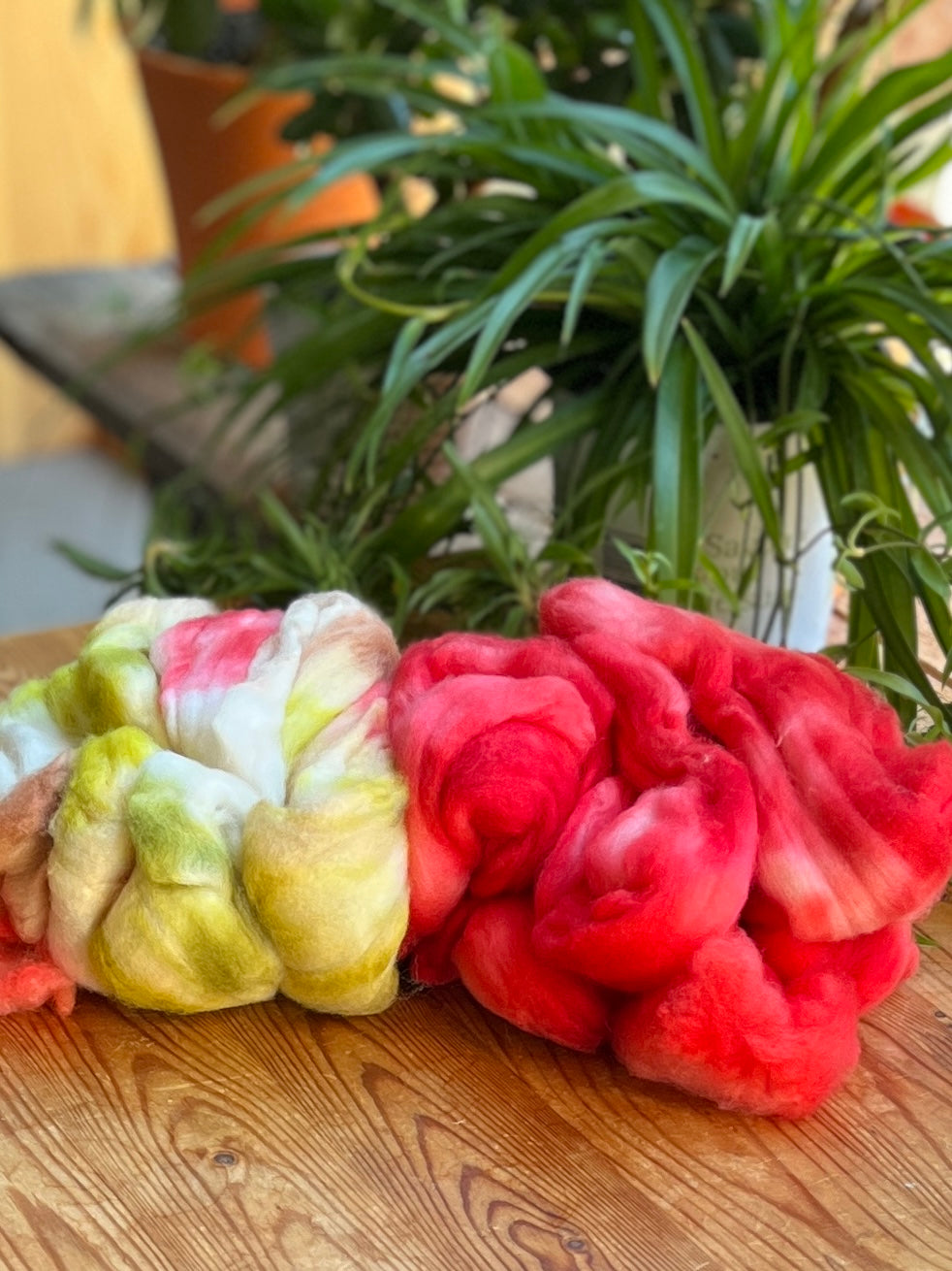 Sw Mérinos, Cachemire, Nylon